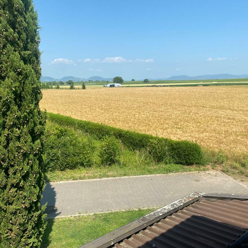 Ausblick nach Westen